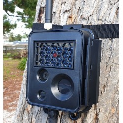 X80 Buckeye CAM Wireless Camera with Bluetooth Interface